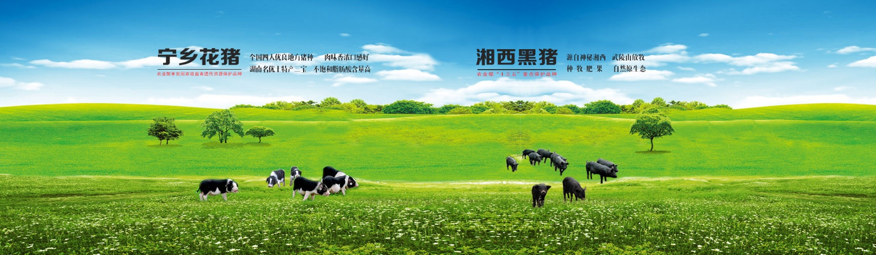 豪利777(OLE777)官方网站