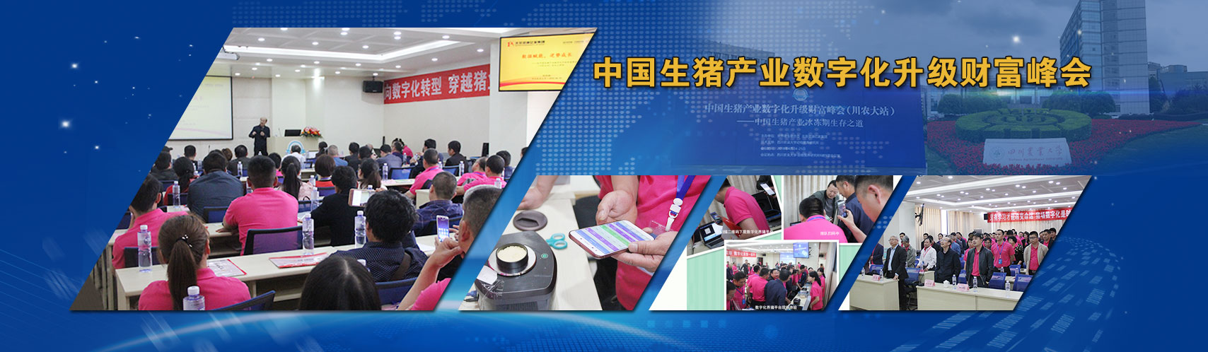 豪利777(OLE777)官方网站